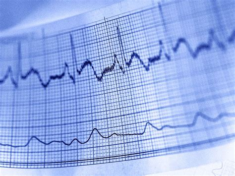 heart tests word hike